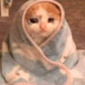 Meet your Posher, Leidy